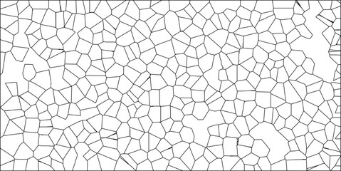Abstract cellular structure isolated on white background simple illustration of cell division pattern black line art vector design