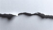 © Retno - Torn white paper with shadow. Isolated