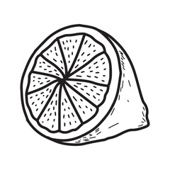 Hand drawn citrus minimalist doodle line art slice vector illustration