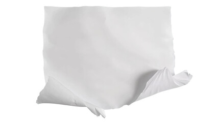 Wall Mural - crumpled white paper with torn edges on transparent background
