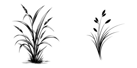 Modern isolated sketch illustration of grass in graphic black and white