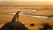 © robina - A cheetah surveys the vast african savanna from atop a hill at sunset, a golden river winding through the landscape transparent background