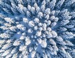 © Husniah - Snowy forest aerial view