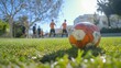 © Pan - Soccer ball in grassy field, players in background