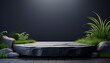 © Clayton - 3d render stone podium dark background with natural green grass rock for product presentation