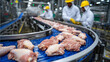 © Maksym - Ultra-modern meat processing facility with chicken wings and thighs moving in rhythmic rows across chilled conveyor belts, workers in white uniforms monitor hygiene protocols