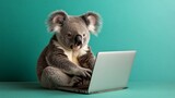 At a desk, a koala bear is working on a laptop computer
