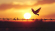 © Shaloom  - Bird in flight at sunset over fence, International Day for the Remembrance of the Slave Trade and its Abolition