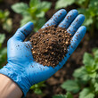 © Ann - Enrichment of soil with granular NPK fertilizer for better growing of plants. Close up of hand in blue glove with granules of mineral fertilizer