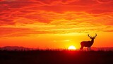 Majestic deer silhouetted against a vibrant sunset sky, scenic, forest