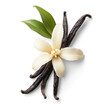 © Servo Graphics - Aromatic vanilla beans and flower blossom close up on a Transparent Background