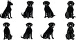 © Sanaullah - Vector art of a set of dog silhouettes showcases various breeds in a sitting position