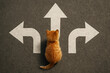 © mirsad - Generative AI:  little kitty standing next to three direction arrow choices, left, right or move forward