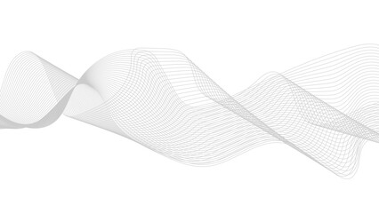 Wall Mural - abstract black lines wave curve motion on white background. abstract gray line with white background