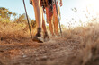 © Marko Geber - Close up of the hiking boots of a group of young hikers walking on a ridge overlooking a sunset in South Africa