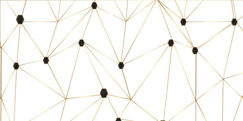 Wall Mural - abstract line background. abstract black lines with white background creative and geometric shape wi