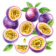 © The Masterplan Std. - Illustrated set of fresh passion fruits, whole, halved, and sliced, with vibrant purple skin and juicy yellow seeds.