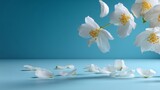 blue background floating white jasmine petals