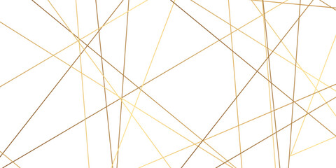 Wall Mural - luxury modern technology concept diagonal line .abstract transparent background with golden and oran