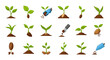 © BUDENGRMX - Vector Icons Set of A vibrant cartoon icon set illustrating the stages of plant germination and growth from seed to young sprout including gardening tools. EPS Editable