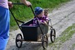 © Karolina - Grandmother pushing toddler girl in a vintage wagon along a grassy path on a sunny day. A nostalgic and charming countryside moment.