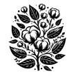 © AKHI - Stylized Black and White Cotton Plant Illustration 1.