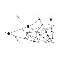 Black spider web with dew drops on white background