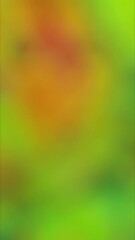 Wall Mural - vertical abstract green orange motion blur 4k loop features multiple gradients of green and orange m