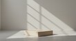 © Alvin - A minimalist rectangular podium in a neutral tone sits on a light gray floor, bathed in natural light with dramatic window shadows creating an artistic atmosphere.