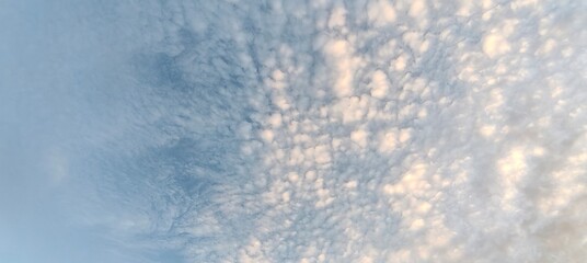 Wall Mural - a multitude of white clouds in diverse and fantastical shapes floating in the sky. the clouds are di