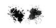 © DARK TRUST - Dynamic splatter art on a stark white backdrop. black ink splatter