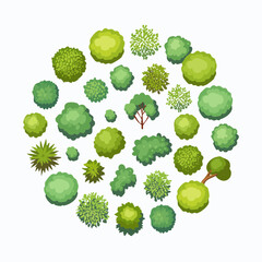 Diverse collection of green trees and bushes seen from a top view creating a circular pattern on a white background