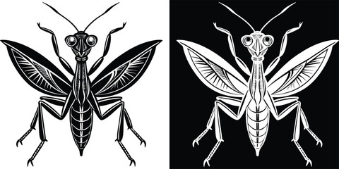 Detailed Line Art Praying Mantis Insect Illustration in Black and White
