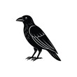 © hmdahsan952 - Minimal Raven icon vector illustration
