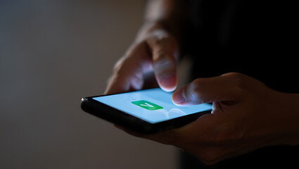 Person using smartphone with green checkmark icon mobile phone technology