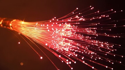 Wall Mural - optical fiber light streaks
