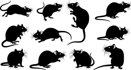 Wall Mural - Vector Set of Rat Silhouettes on White Background
