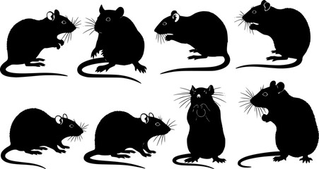 Wall Mural - Vector Set of Rat Silhouettes on White Background
