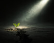 © Mustafa Kawa - A small plant growing through cracked earth under a spotlight in a dark environment scene image
