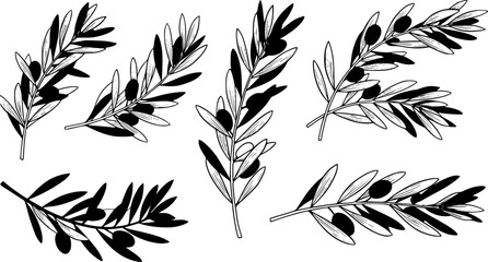 Set of olive branch silhouette vector illustration