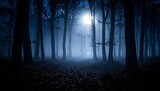Misty, moonlit forest at night