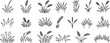 © Pritam - Set of black and white line art grass and wheat icons
