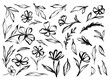 © Hulinska Yevheniia - Flower doodle hand drawn line stroke. Sketch hand drawn spring floral plant, nature graphic leaf, scribble grunge brush texture. Vector simple flower, leaf brush stroke. Vector illustration