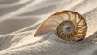 © Jani - Spiral pattern of a seashell on sandy surface
