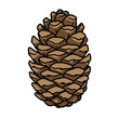 © Bay - Pine cone illustration in hand-drawn flat vector style