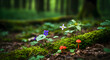 © FastIMG - Discover vibrant wildflowers and mushrooms nestled in lush green mossy forest floor, perfect for spring projects