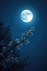 Wall Mural - Silvery moonlight bathes a delicate branch, its leaves gently swaying in the night breeze  A tranquil scene of nocturnal nature's beauty, perfect for serenity and peace themes ,  dark,  night sky