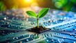 © Nopadon - A green plant growing from soil on a computer chip symbolizes the fusion of technology and nature, highlighting innovation and sustainability.