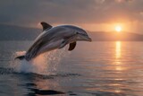 Playful dolphin leaps joyfully into the air against a stunning sunset backdrop over calm waters