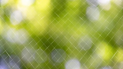 Wall Mural - abstract grid lines pattern loop motion on blurred sunny nature bokeh background.